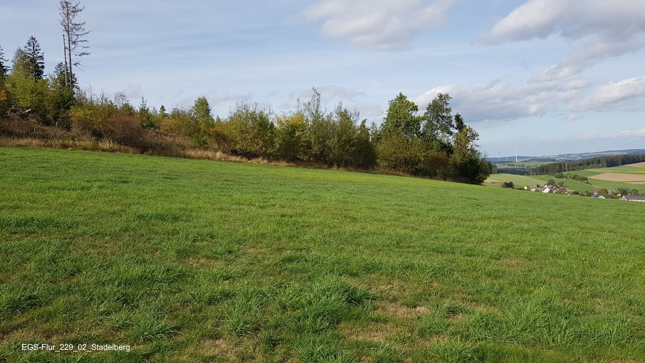 EGS-Flur_229_02_Stadelberg.jpg